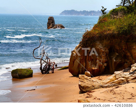 Ogihama海灘在夏天 42610886
