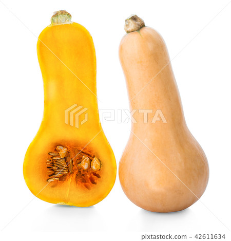 butternut squash isolated on white background 42611634