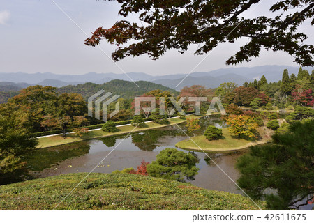 Shogakuin皇宮皇宮龍捲風池塘 42611675