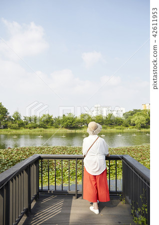 Life, woman, old man, Korean 42611953