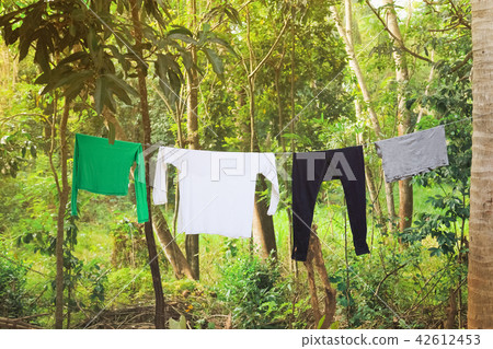 Hanging out the clothes on the rope  42612453