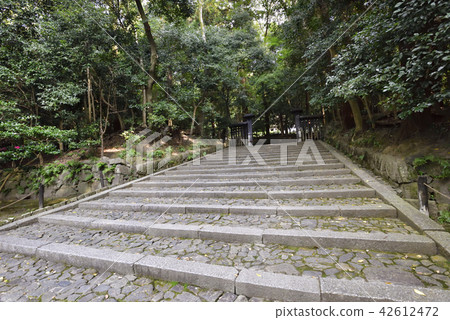 Honen Honen 42612472