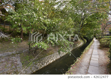 哲學的方式 42612477