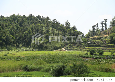 Landscape of Yomei Mountain Yumeiko Lake Landscape of Yomei Mountain Yumeiko Lake 42612977
