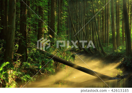 Ushidogawa River in summer Ushidogawa River in summer 42613185