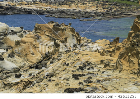 Taiwan Tourism Foundation Takao Hirashima Park Taiwan Tourism Foundation Takao Hirashima Park 42613253