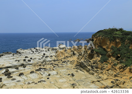 Taiwan Tourism Foundation Takao Hirashima Park 42613336