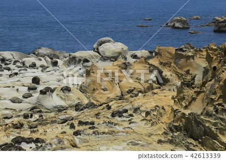 Taiwan Tourism Foundation Takao Hirashima Park 42613339