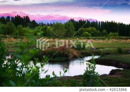 View of Andes mountains from green valley View of Andes mountains from green valley 42613866