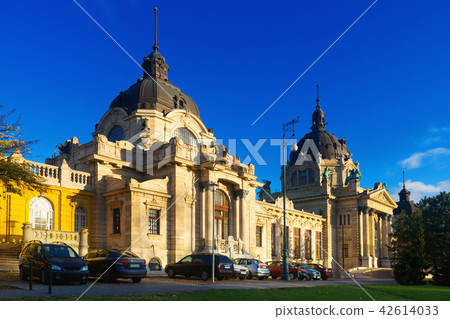 Szechenyi Medicinal Bath, Budapest Szechenyi Medicinal Bath, Budapest 42614033