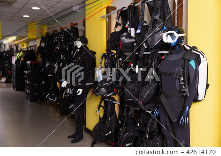 Image of the variety sport equipment for diving Image of the variety sport equipment for diving 42614170