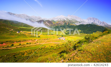 tranquil mountain landscape tranquil mountain landscape 42614243