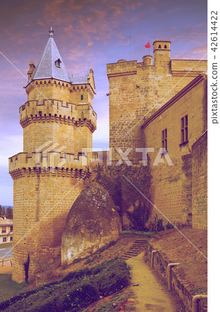 Old castle at Olite 42614422
