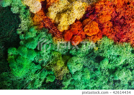 Nature background 42614434
