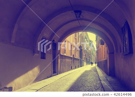 Narrow streets of Parma 42614496