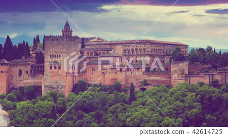 View of the Nazaries palaces of Alhambra. Granada 42614725