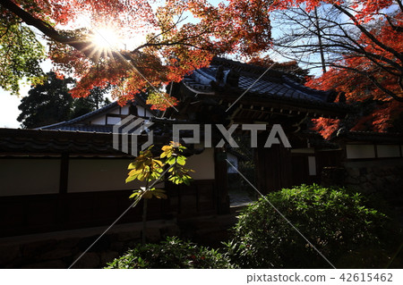 From Saishiji From Saishiji 42615462