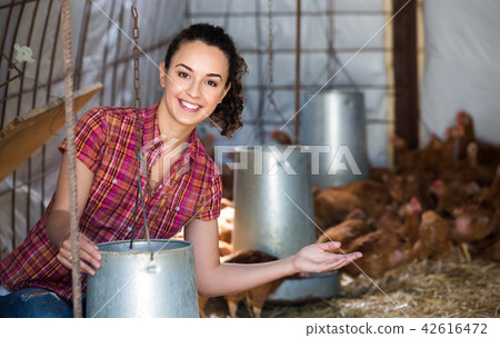 Young female farmer giving feeding stuff 42616472