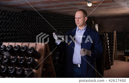 Male inspecting wine bottles in wine cellar Male inspecting wine bottles in wine cellar 42617480