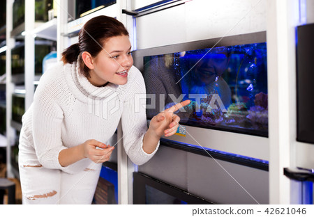 Girl in aquarium shop points to colored fish Girl in aquarium shop points to colored fish 42621046
