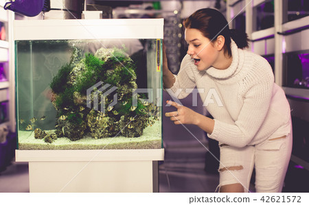 Girl is looking at striped and colorful fishes Girl is looking at striped and colorful fishes 42621572