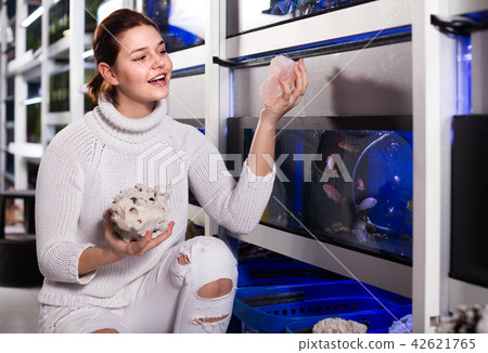 teenager selecting interesting aquarium rocks and stone for aquarium entourage teenager selecting interesting aquarium rocks and stone for aquarium entourage 42621765