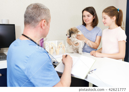 family with their puppy visiting veterinarian family with their puppy visiting veterinarian 42621777