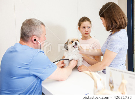 Concerned family with dog consulting by veterinarian 42621783