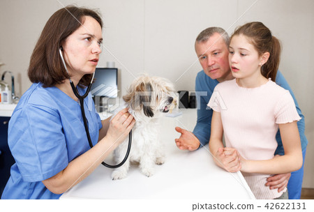 Woman veterinarian with visitors 42622131