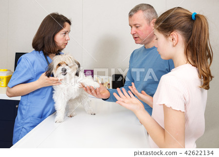 Woman veterinarian with visitors Woman veterinarian with visitors 42622134