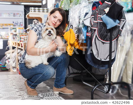 woman choosing for clothes for dog 42622496