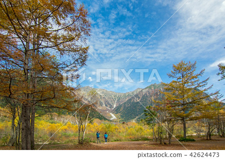 秋天Kamikochi 42624473