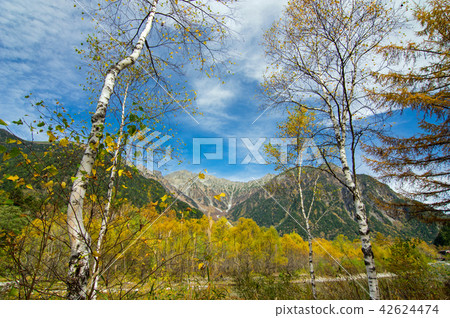 秋天Kamikochi 秋天Kamikochi 42624474