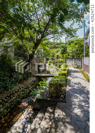 國分寺市鷹的風景 42624712