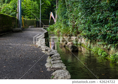 Kokubunji city Hawk's way scenery Kokubunji city Hawk's way scenery 42624722