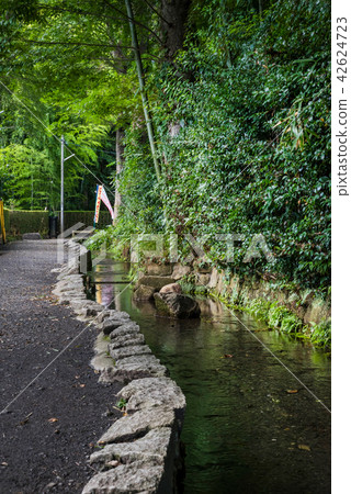 Kokubunji city Hawk's way scenery 42624723