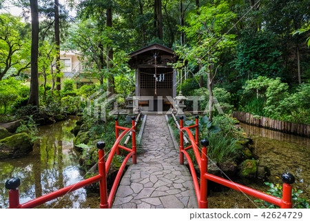 國分寺市Hawk no Micho Road Benzaiten 國分寺市Hawk no Micho Road Benzaiten 42624729