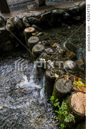 Kokubunji city Haka no Doko true pure pond spring and gun 42624738