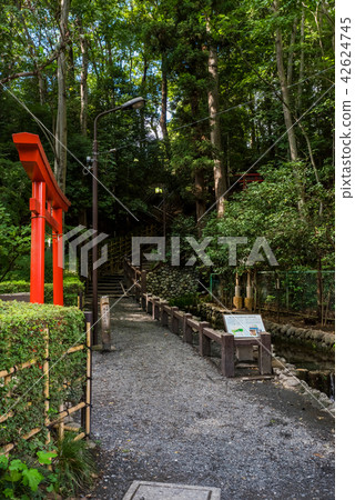 國分寺市Haka no Doko真正純淨的池塘泉和槍 國分寺市Haka no Doko真正純淨的池塘泉和槍 42624745