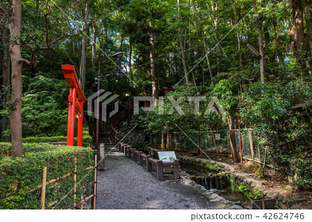 國分寺市Haka no Doko真正純淨的池塘泉和槍 國分寺市Haka no Doko真正純淨的池塘泉和槍 42624746