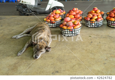 玉井芒果批發市場 玉井芒果批發市場 42624782