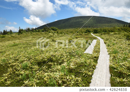 Mountain trail to Higashi Agatsuma 42624838