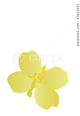縣花簡單千葉納米花 縣花簡單千葉納米花 42625442