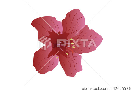 Prefectural Flower Simple Shizuoka Azalea 42625526