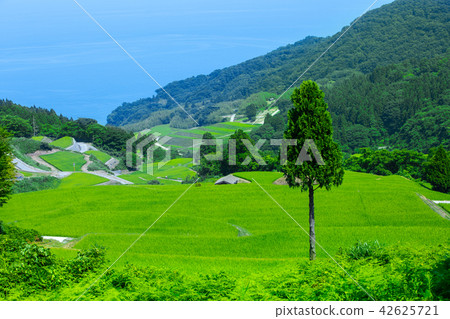 夏天岩石ryuu米大陽台 42625721