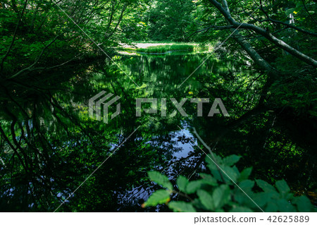 Otaka pond Otaka pond 42625889