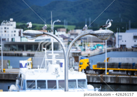 At Sado Kisen 42626157