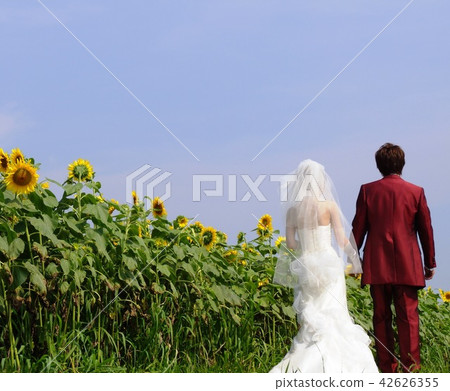 Summer bride Summer bride 42626355