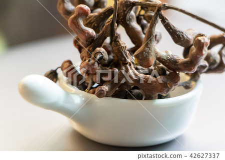 Hovenia fruit 42627337