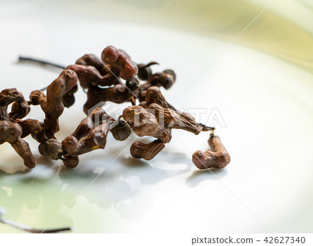 Hovenia fruit Hovenia fruit 42627340